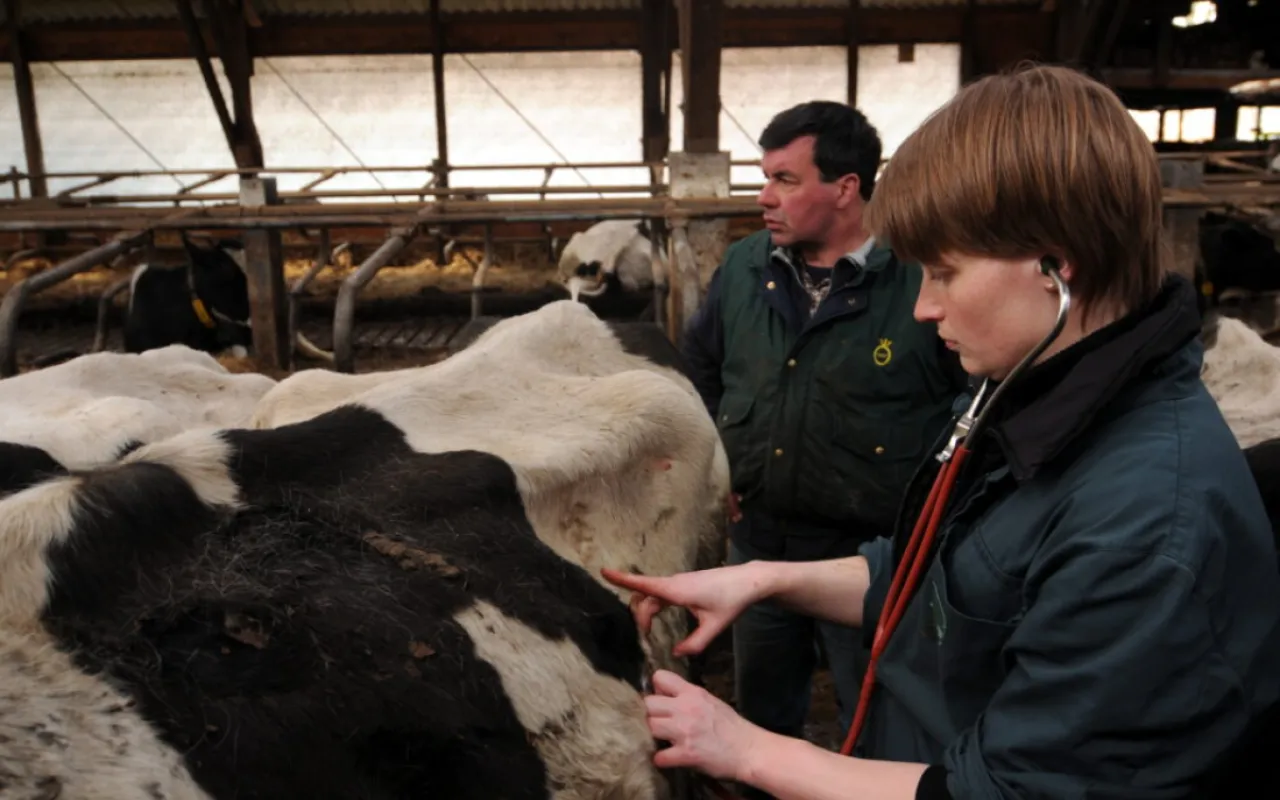 Landvolk und Tierärztekammer schlagen Alarm