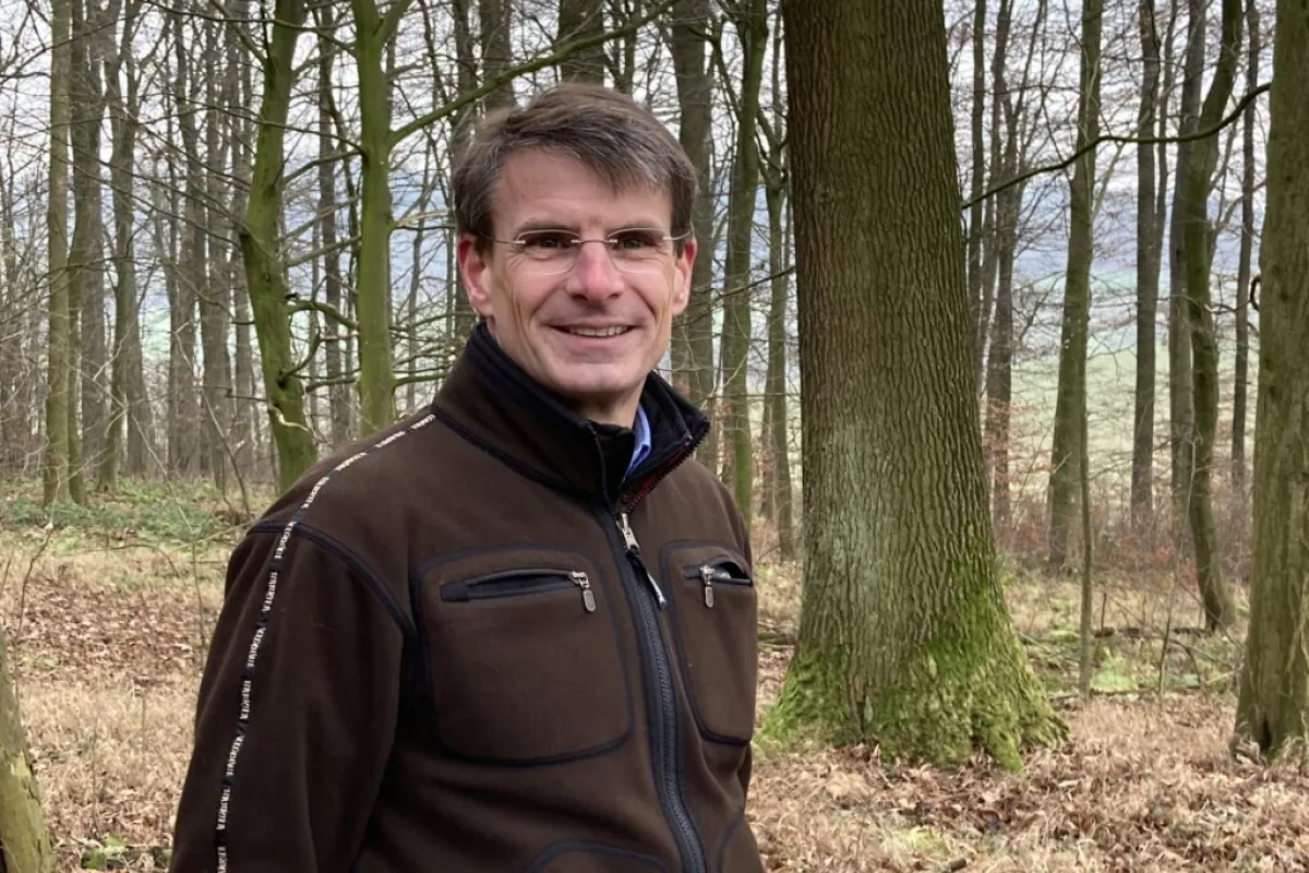 Niedersachsens Wald retten: Online-Petition unterschreiben