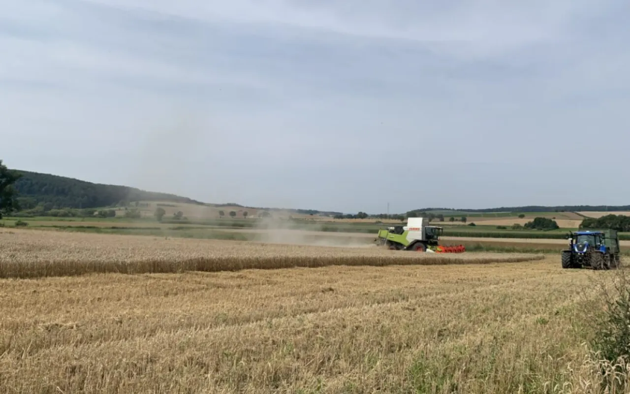 Ernte 2024 in Niedersachsen nahezu abgeschlossen