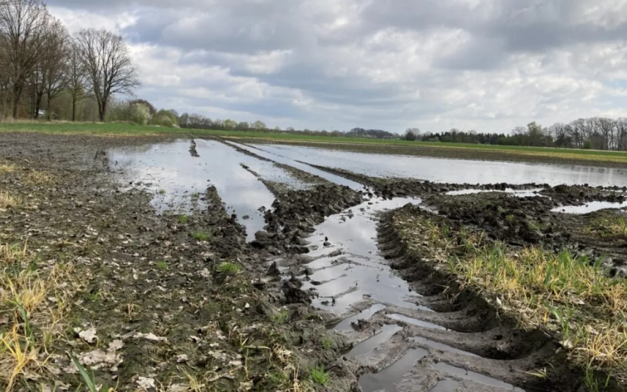 Land unterstützt bei Versicherungen gegen Wetterrisiken