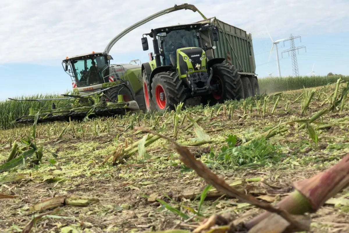 Maisernte ist in Niedersachsen gestartet