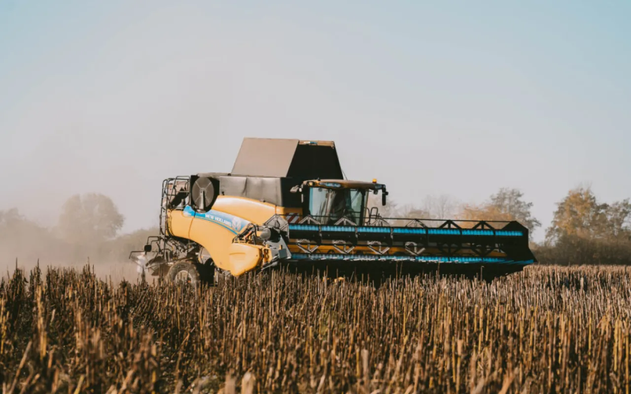 Niedersachsens Landwirte erzielen gute Sonnenblumenernte