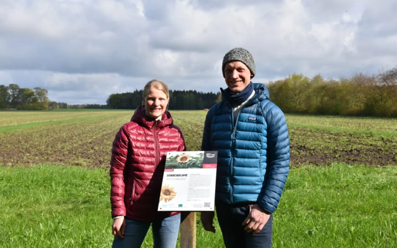 Agri-Photovoltaik ermöglicht „Doppelernte“