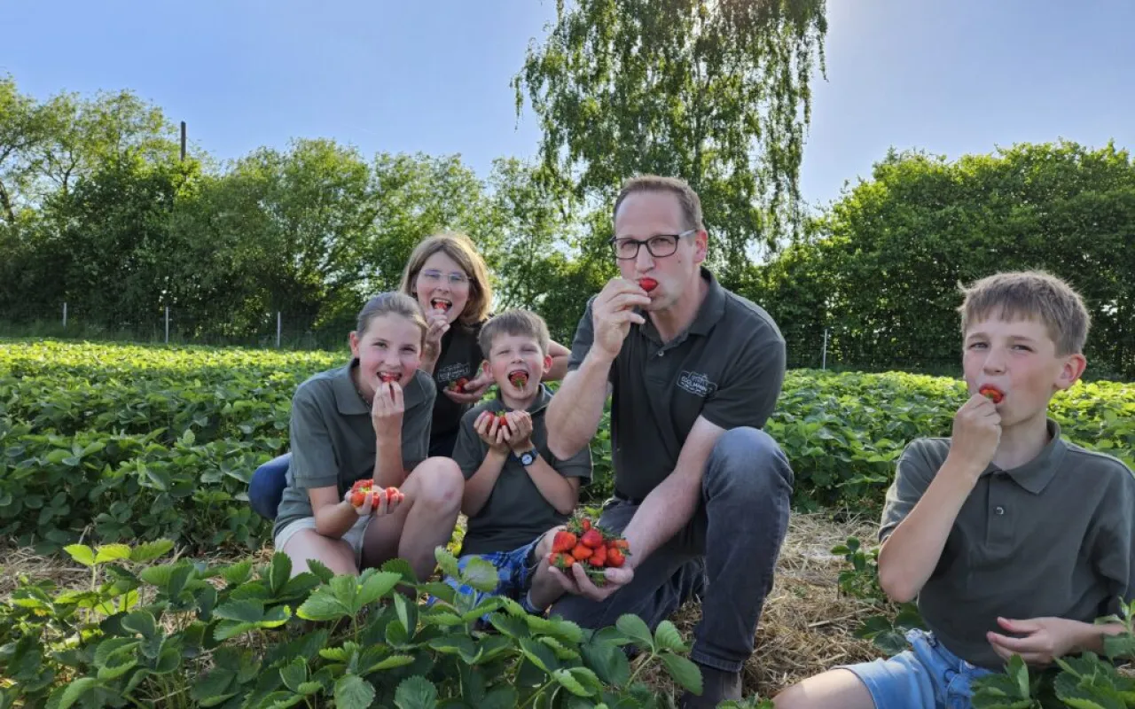 Vom Erdbeerfeld zum Schweinestall und zurück