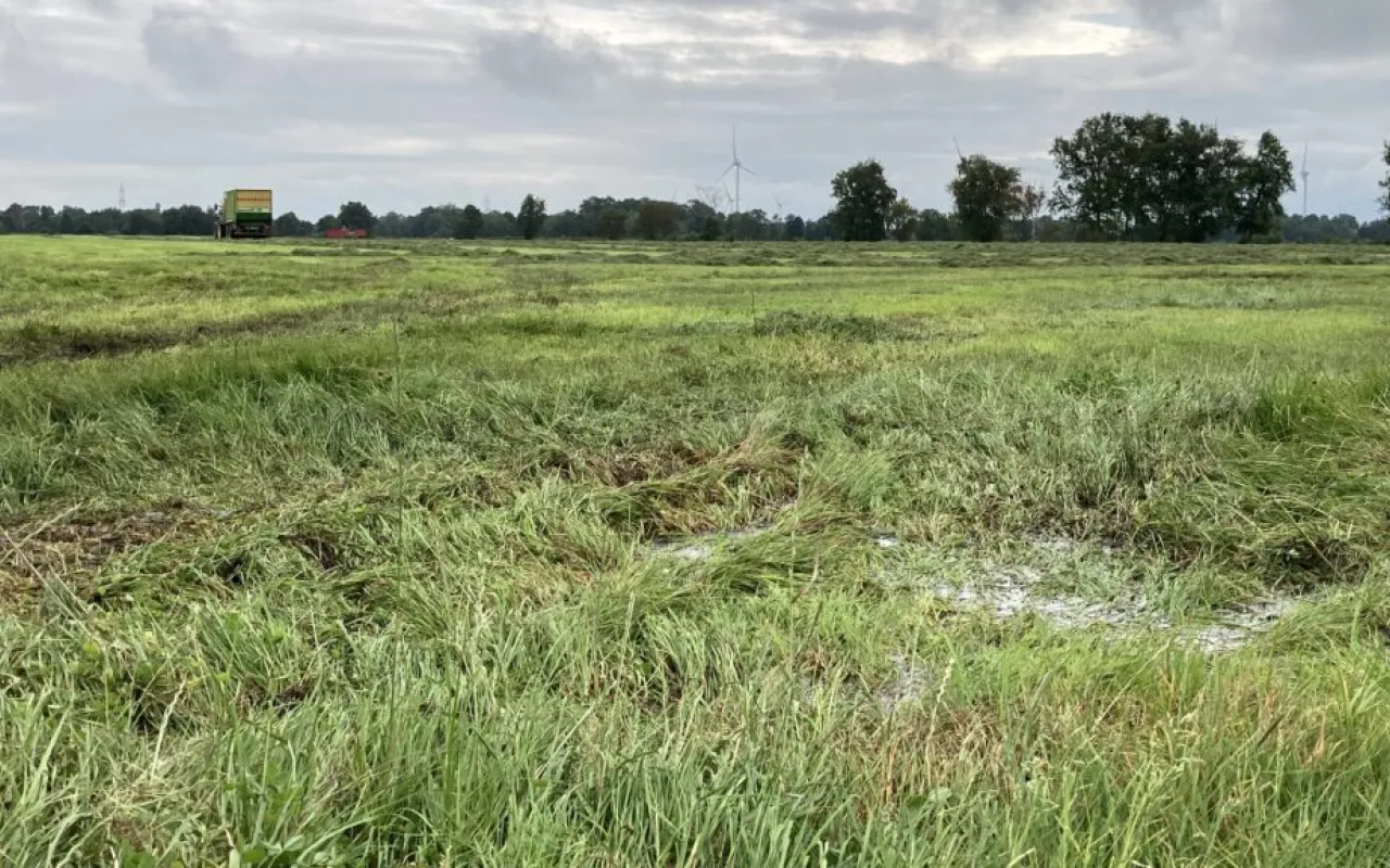 Landvolk kritisiert neue Moorgebietskulisse