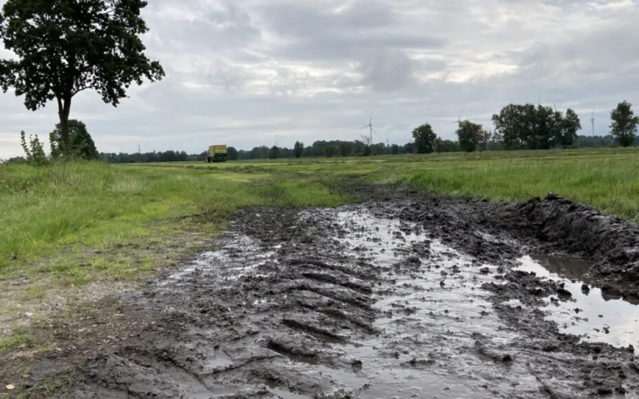 Schwierige Grasernte im Norden Niedersachsens