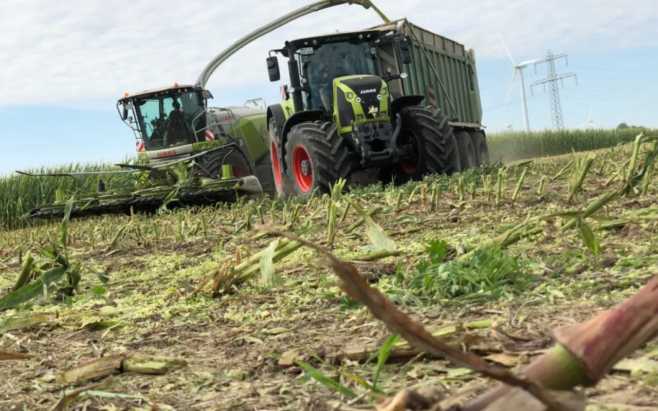 Maisernte ist in Niedersachsen gestartet