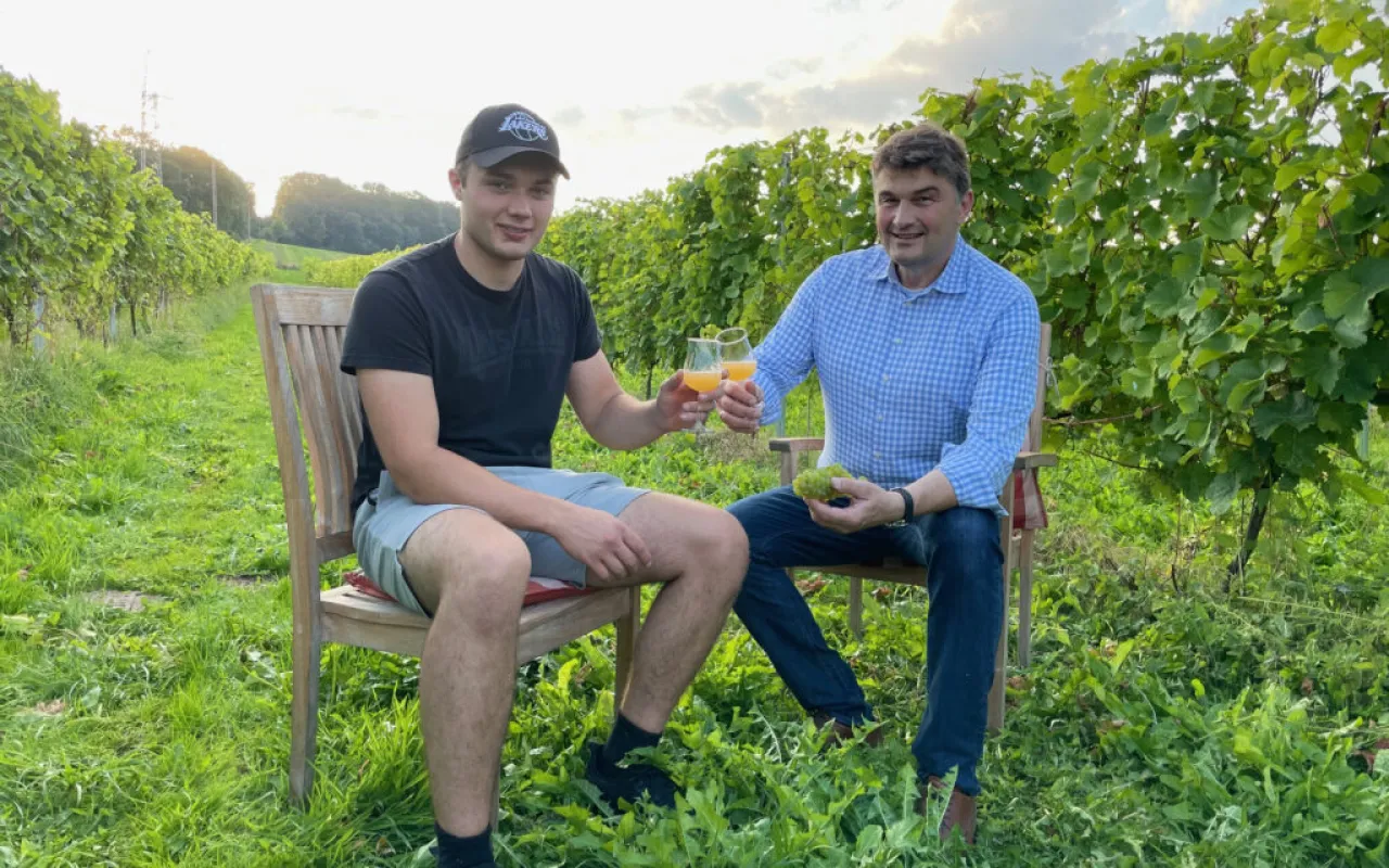 Niedersachsens Weinanbauer sind mit Lese zufrieden